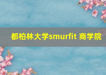 都柏林大学smurfit 商学院